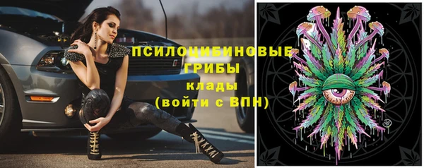 mdpv Гусь-Хрустальный