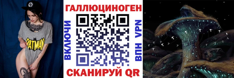 Псилоцибиновые грибы GOLDEN TEACHER  наркотики  omg ссылки  Бокситогорск 